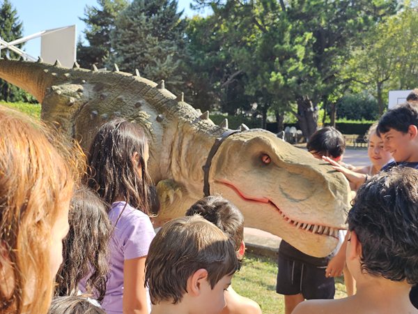 Conoce al T-Rex